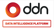 ddn data intel